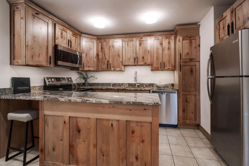 New Listing 3 BR 3 BA Aspen Condo near Gondola - image 50