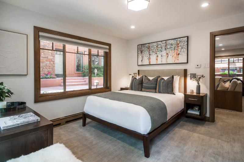 New Listing 3 BR 3 BA Aspen Condo near Gondola - image 38