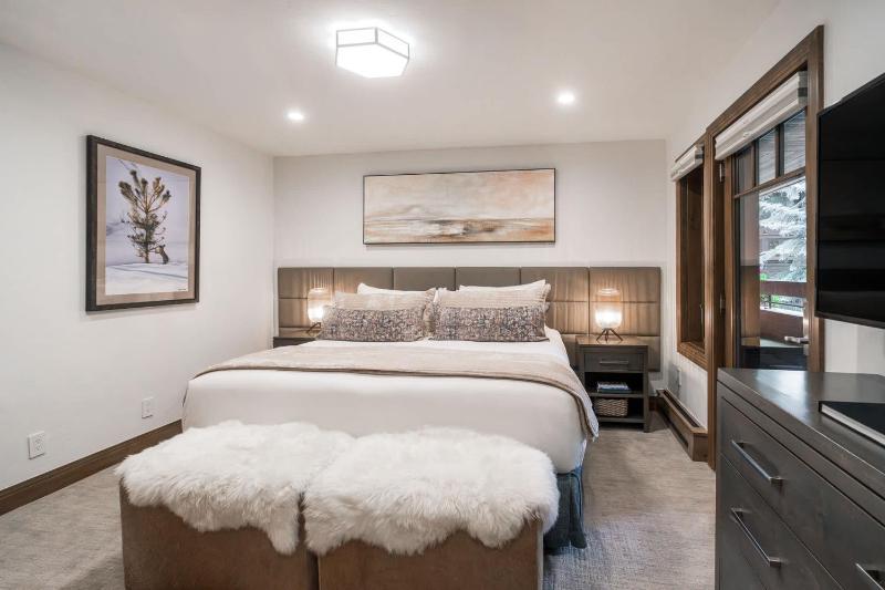 New Listing 3 BR 3 BA Aspen Condo near Gondola - image 30