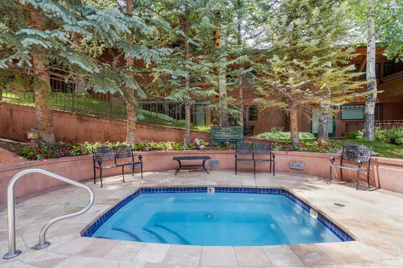 New Listing 3 BR 3 BA Aspen Condo near Gondola - image 40