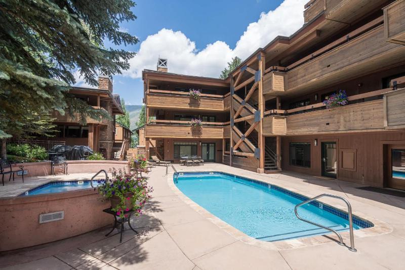 New Listing 3 BR 3 BA Aspen Condo near Gondola - image 49