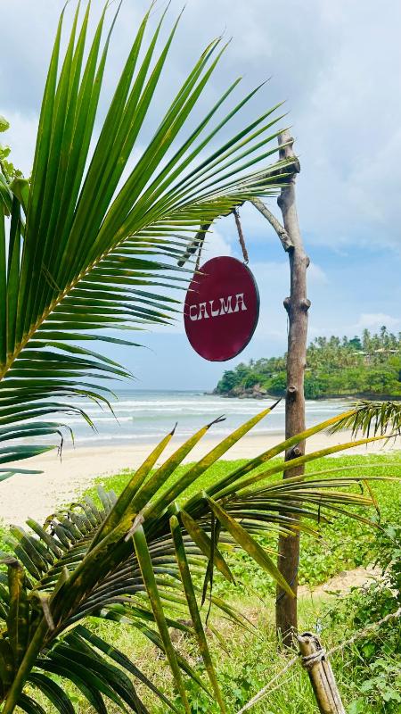 Calma Cafe - Surf Stay and Yoga - image 1