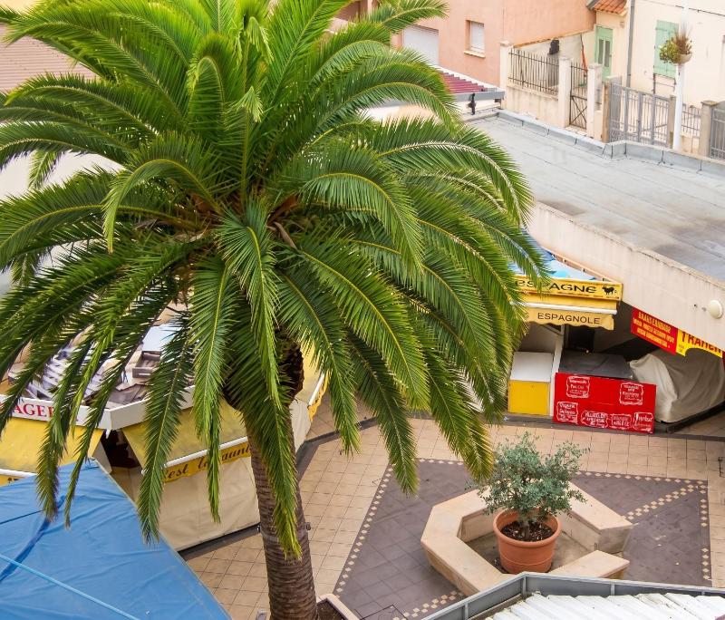 Studio confortable à Valras-Plage de 26 m² - image 12