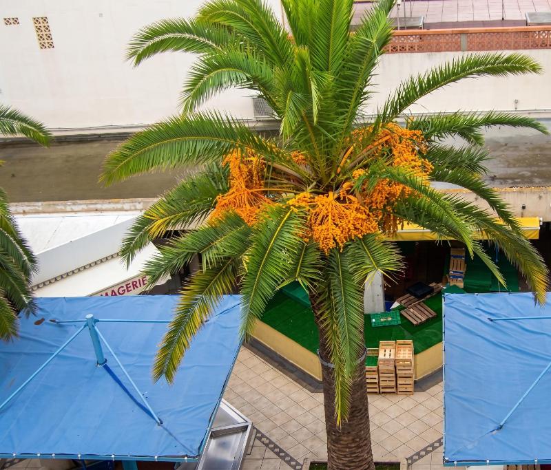 Studio confortable à Valras-Plage de 26 m² - image 6