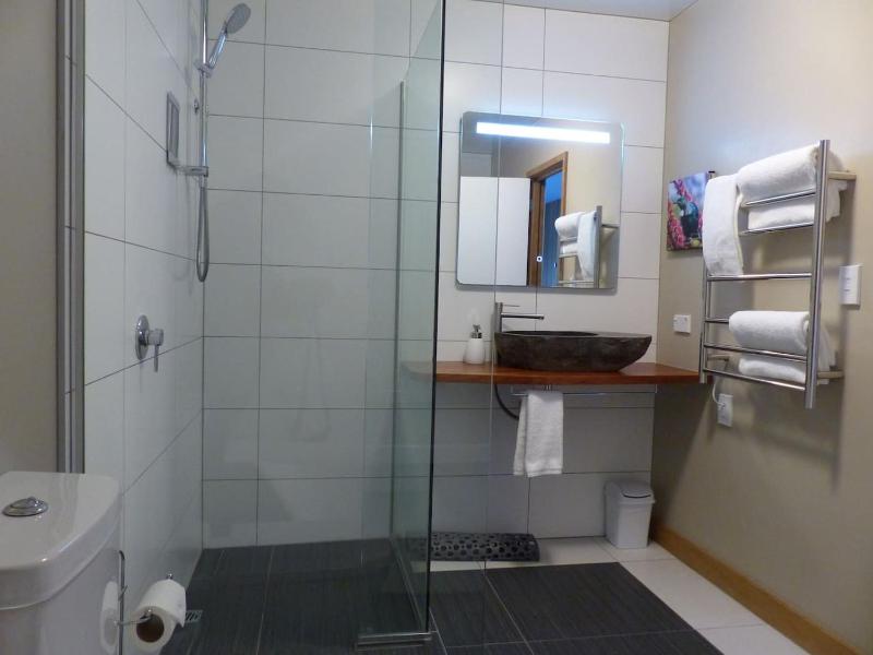 acomo at Clutha - stunning views pool & gym access - image 42