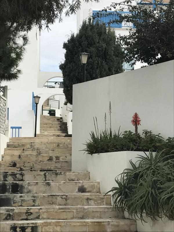 Ikaria Village Apt 201 - image 15