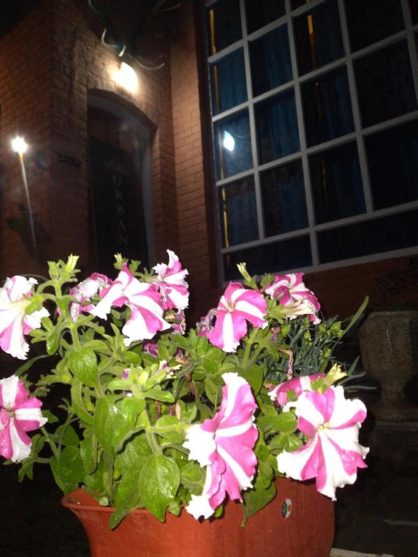 Den hostel - image 10