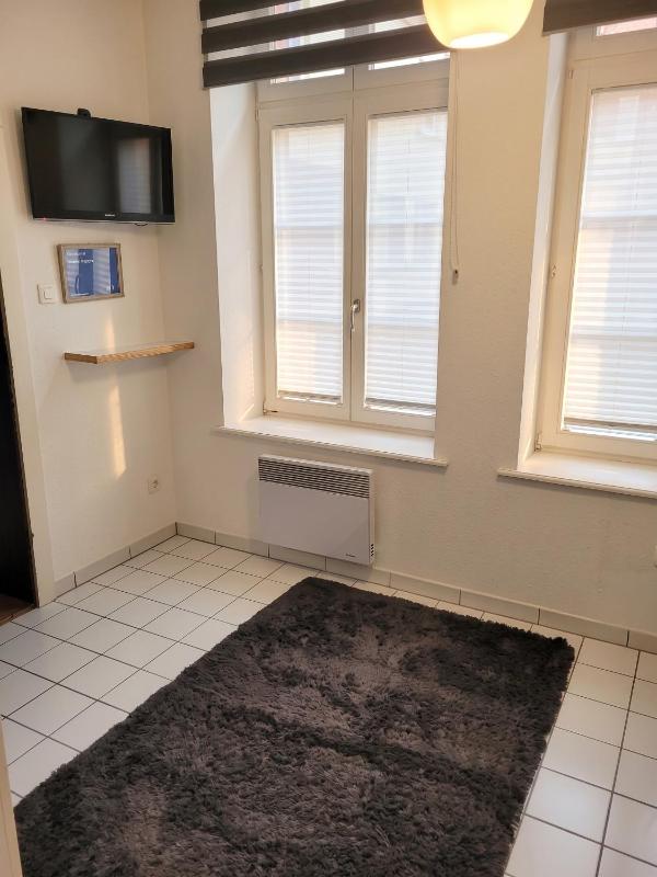 Studio moderne à Colmar 30 m² avec équipements - image 12