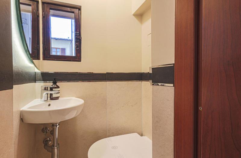 Apartments Florence- Charming Sant' Egidio - image 7
