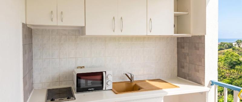Appartement spacieux à Sainte-Luce de 80 m² avec piscine - image 11