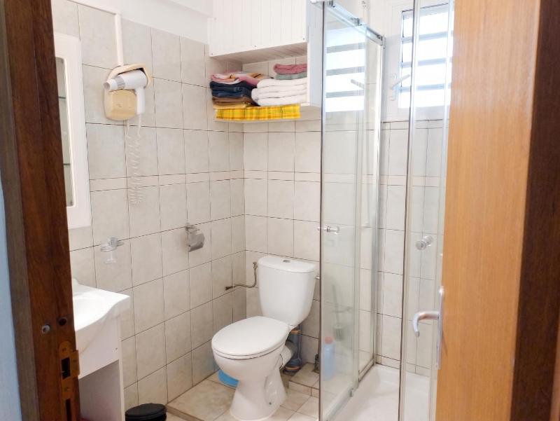 Appartement charmant en centre-ville de Sainte-Luce 80 m² + vue - image 3