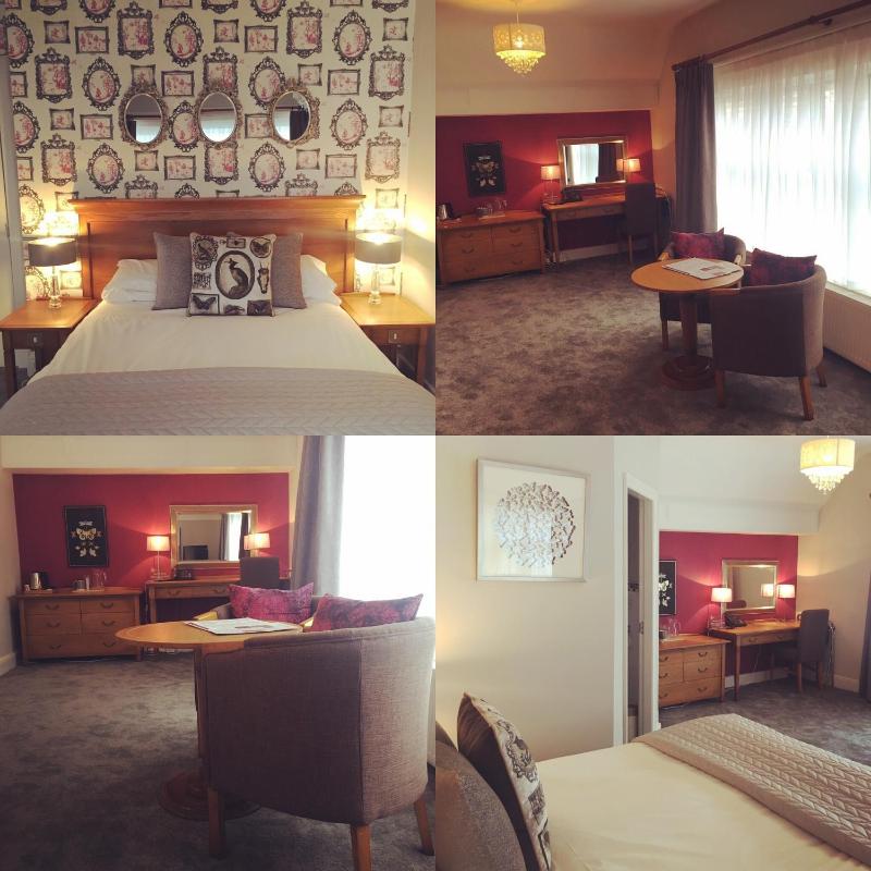 Deluxe Double Room image 3