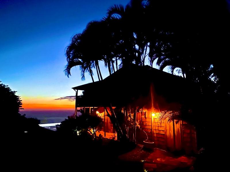 La Caféière Beauséjour - Guesthouse - image 15