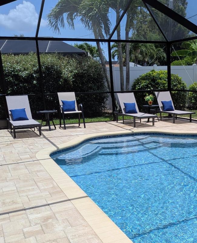 Sunkissed Palms - image 43