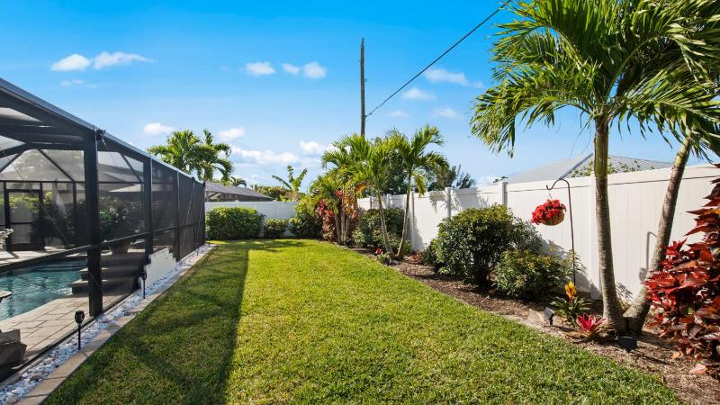 Sunkissed Palms - image 47
