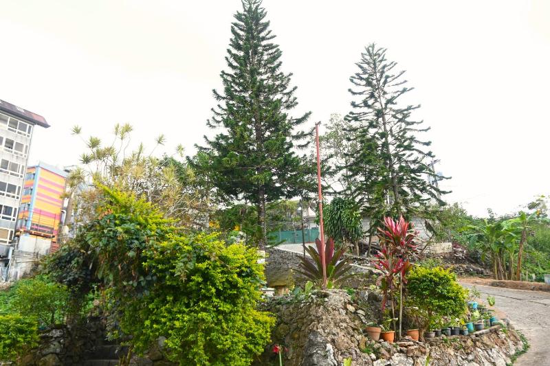 Family World Villas - image 15