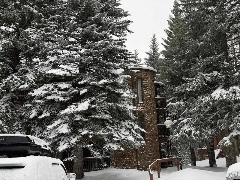 East Vail Getaway Steps from Ski Shuttle & Creek - image 6