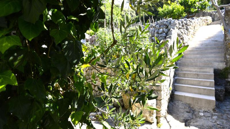 Holiday Home Volat -Baska Voda by Villas Guide - image 21