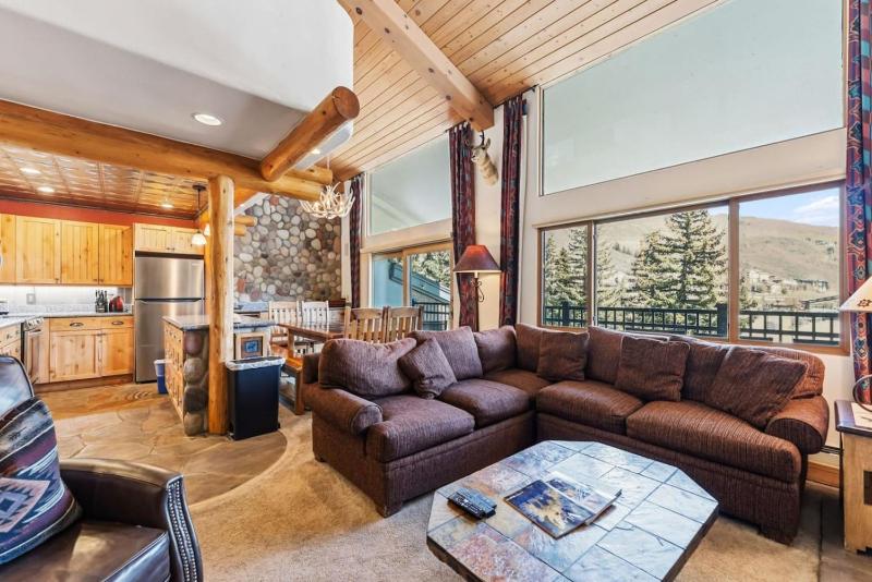Lionshead Living Steps from Gondola Pool - image 1