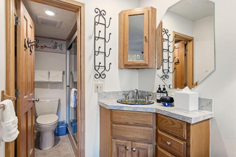 Lionshead Living Steps from Gondola Pool - image 22