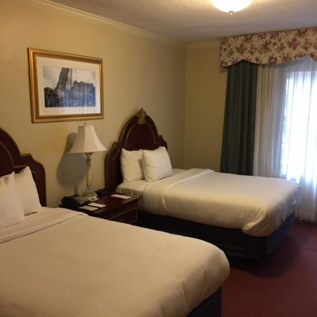 Double Room with Two Double Beds image 2