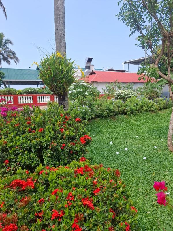 Hillview Beach Resort - image 35