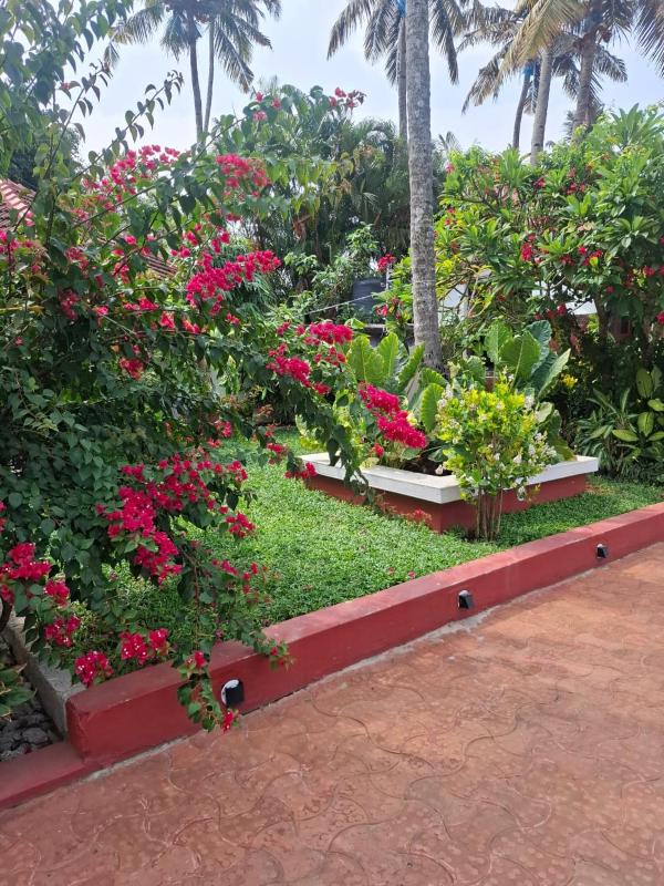 Hillview Beach Resort - image 40