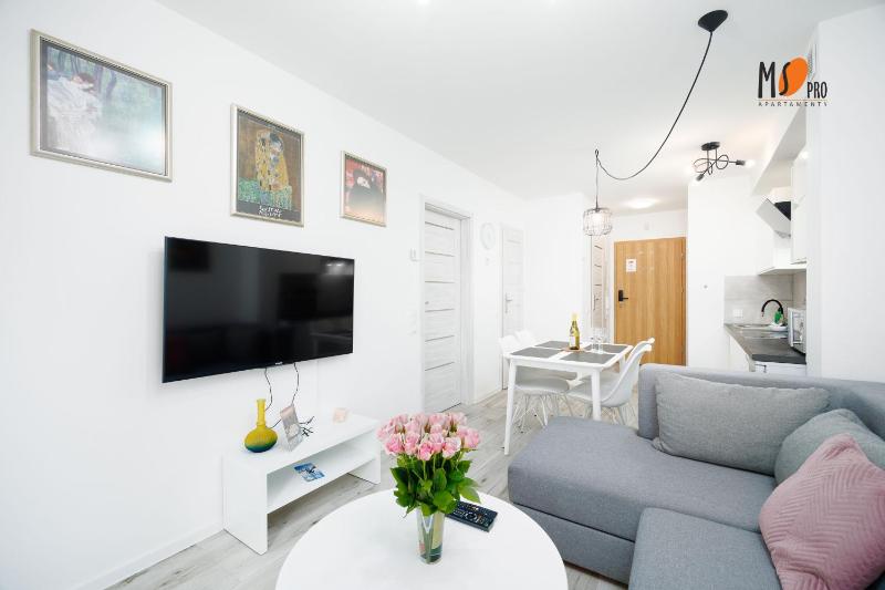 MSPro K17 Mountain and City Apartment - image 6