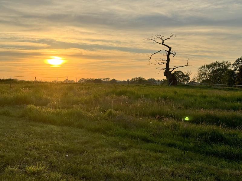 The Dairy House #Aldeburgh #SnapeMaltings - sleeps 11 - NOT SUITABLE FOR HENS OR STAGS OR ANY SIMILAR NOISY EVENTS DUE TO PROXIMITY OF NEIGHBOURS WHO VALUE THEIR PEACEFUL SETTING - Manage by Aldeburgh Coastal Cottages - image 43