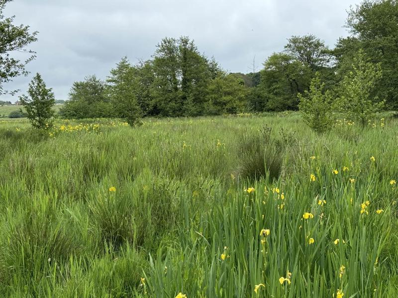The Dairy House #Aldeburgh #SnapeMaltings - sleeps 11 - NOT SUITABLE FOR HENS OR STAGS OR ANY SIMILAR NOISY EVENTS DUE TO PROXIMITY OF NEIGHBOURS WHO VALUE THEIR PEACEFUL SETTING - Manage by Aldeburgh Coastal Cottages - image 10