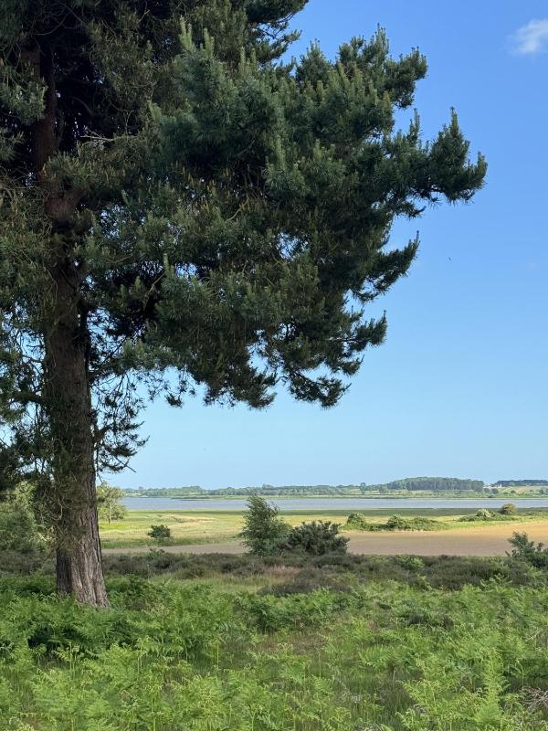 The Dairy House #Aldeburgh #SnapeMaltings - sleeps 11 - NOT SUITABLE FOR HENS OR STAGS OR ANY SIMILAR NOISY EVENTS DUE TO PROXIMITY OF NEIGHBOURS WHO VALUE THEIR PEACEFUL SETTING - Manage by Aldeburgh Coastal Cottages - image 4