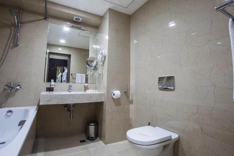 Deluxe Double or Twin Room image 3
