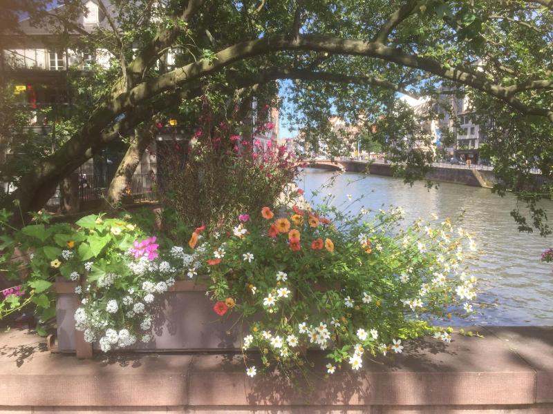 Studio Apartment image 4