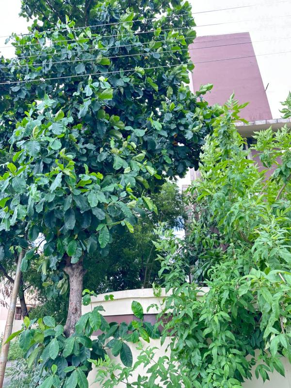 Nilamukil Homestay - image 18