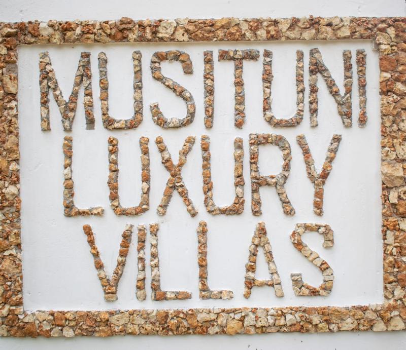 Musituni Luxury Villas - image 2