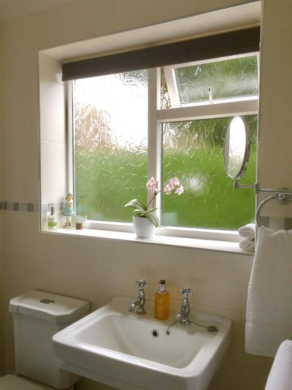 Double or Twin Room image 3