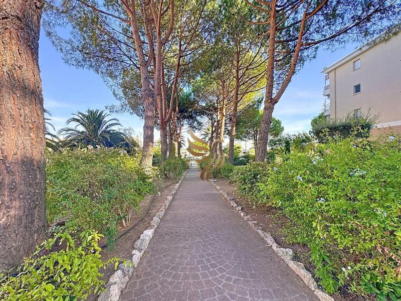 BellaHorizon T2-view of garden-terrace-park-WIFI. - image 23