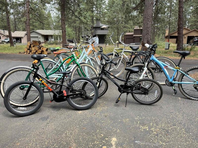 Pine & Powder - SHARC Hot Tub Bikes EV Charger - image 6