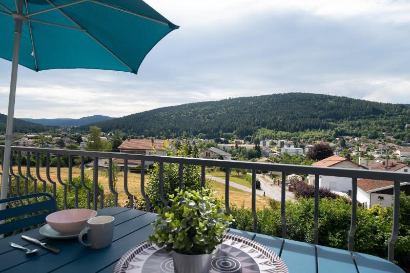 Appartement vue pistes proche lac - image 3