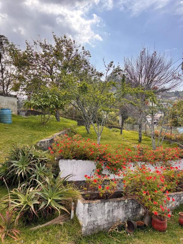 MAHA homestay - image 4