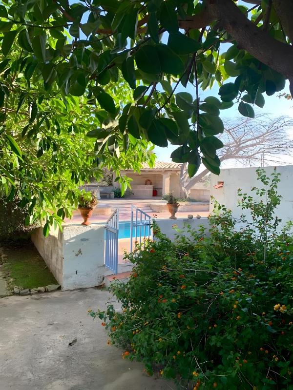 Finca Son Salvador - image 5