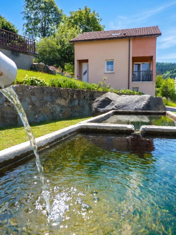 Maison spacieuse près de Gérardmer avec vue sur le lac - image 29