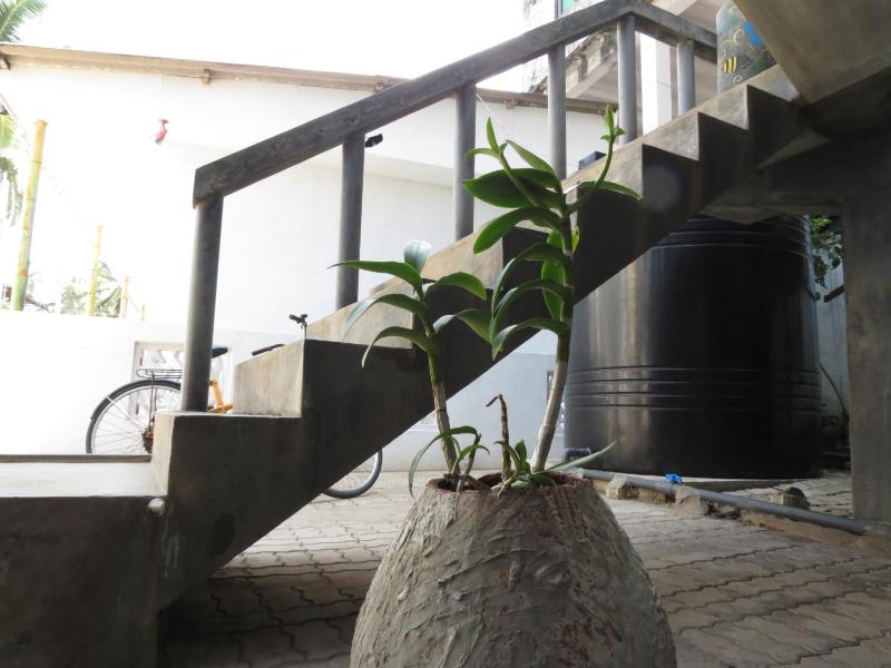 Mountain Wave Hotel and Surfshop - image 30