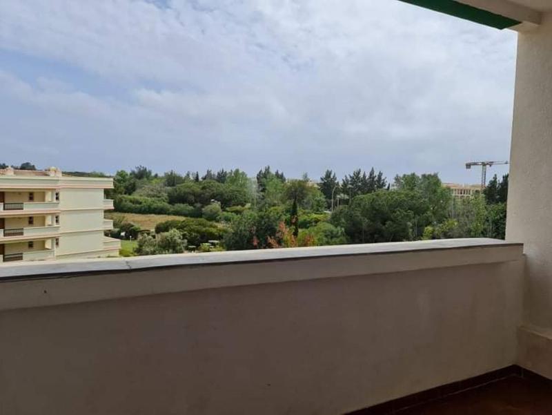 Charming Vilamoura Apartment with Shared Pool - image 18
