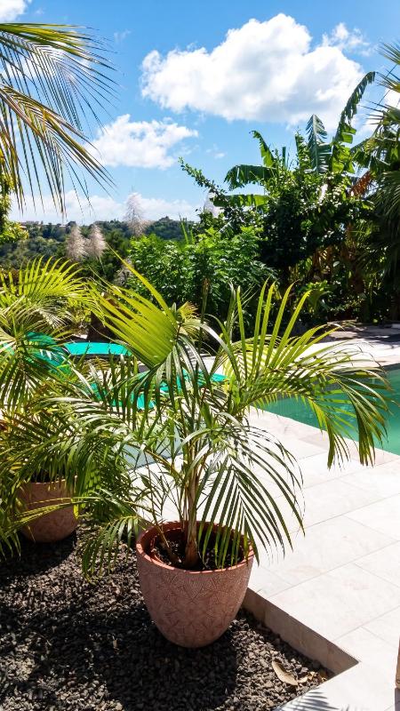 Appartement charmant à Sainte-Luce avec piscine privée - 60 m² - image 16