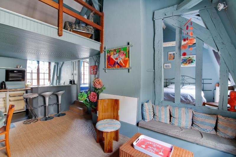 Appartement charmant à Troyes avec cour intérieure clôturée - 50 m² - image 10
