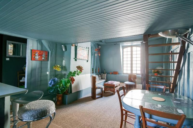Appartement charmant à Troyes avec cour intérieure clôturée - 50 m² - image 5