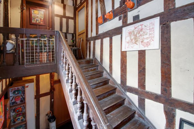 Appartement charmant à Troyes avec cour intérieure clôturée - 50 m² - image 3