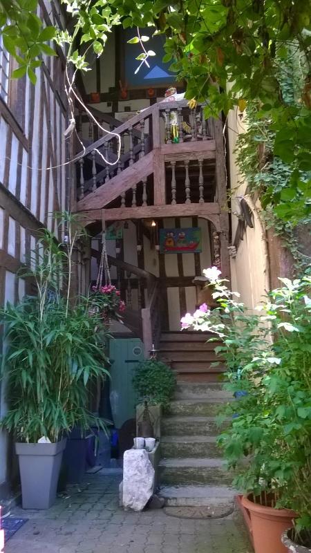 Appartement charmant à Troyes avec cour intérieure clôturée - 50 m² - image 15