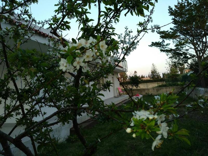Charming House with Pool in Arenella Air Conditioning - image 16